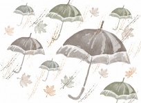 Umbrellas In The Wiind