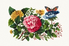 Vintage Butterfly Flowers Old