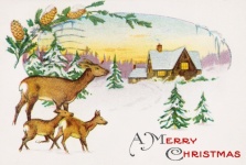 Vintage Christmas Card Deer House