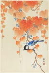 Bird Autumn Vintage Japan
