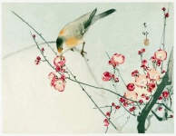 Bird Cherry Blossom Vintage Art