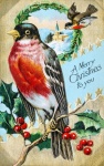 Christmas Card Holly Bird