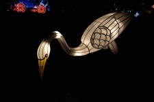 White Lighted Egret