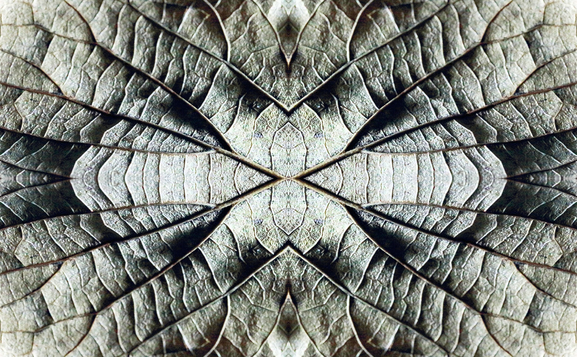 Abstract Network Pattern Of A Leaf