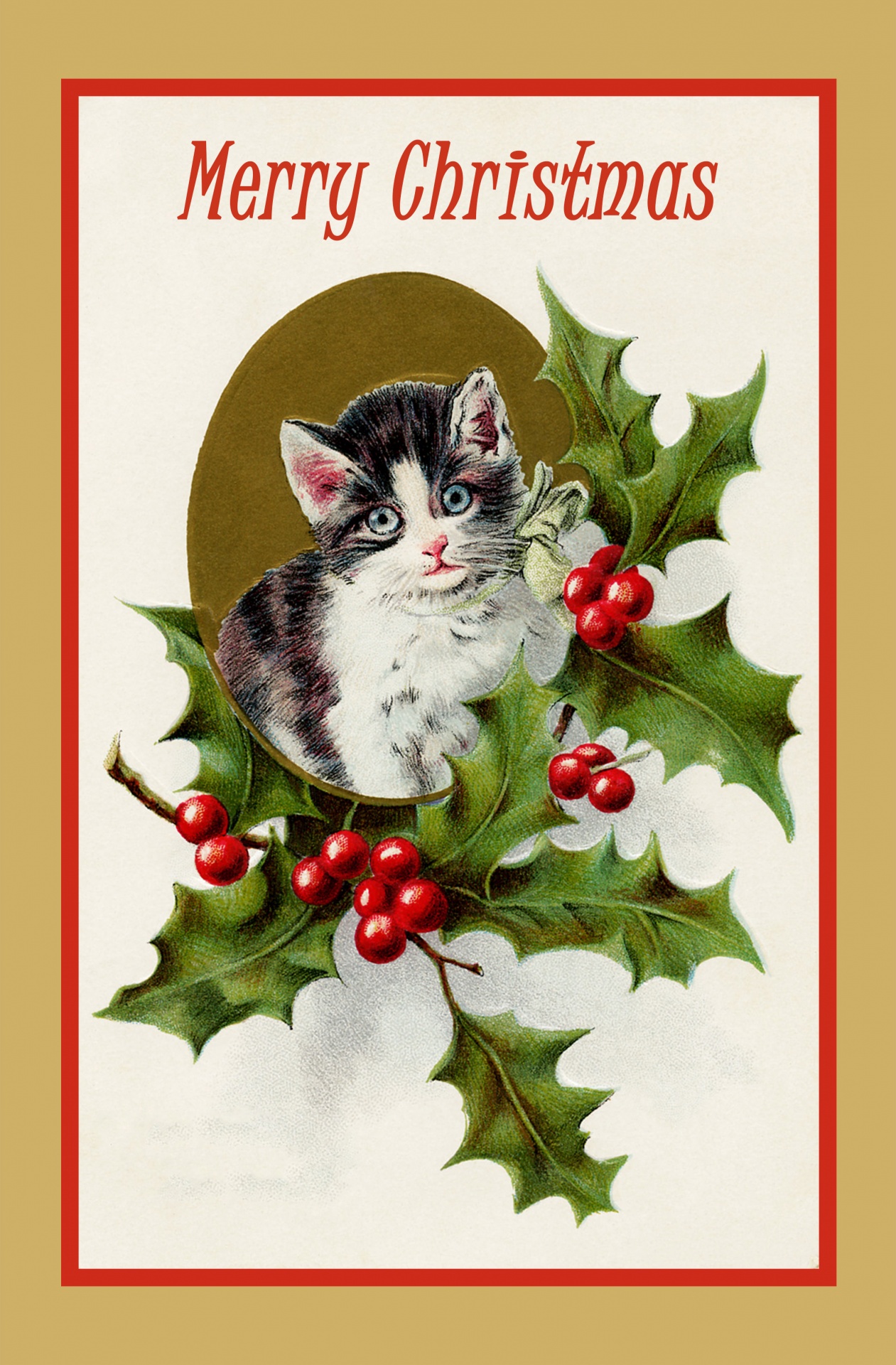 Vintage christmas card with a cute black and white kitten, cat with holly and red berries
