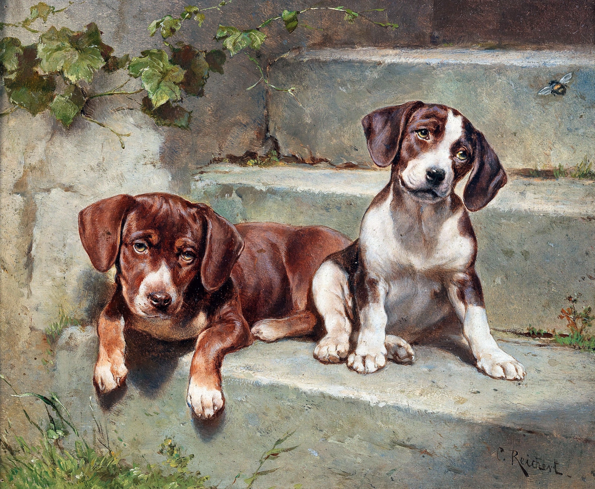Dogs Puppies Beagle Vintage illustration old antique painting painting by Reichert from 1889
