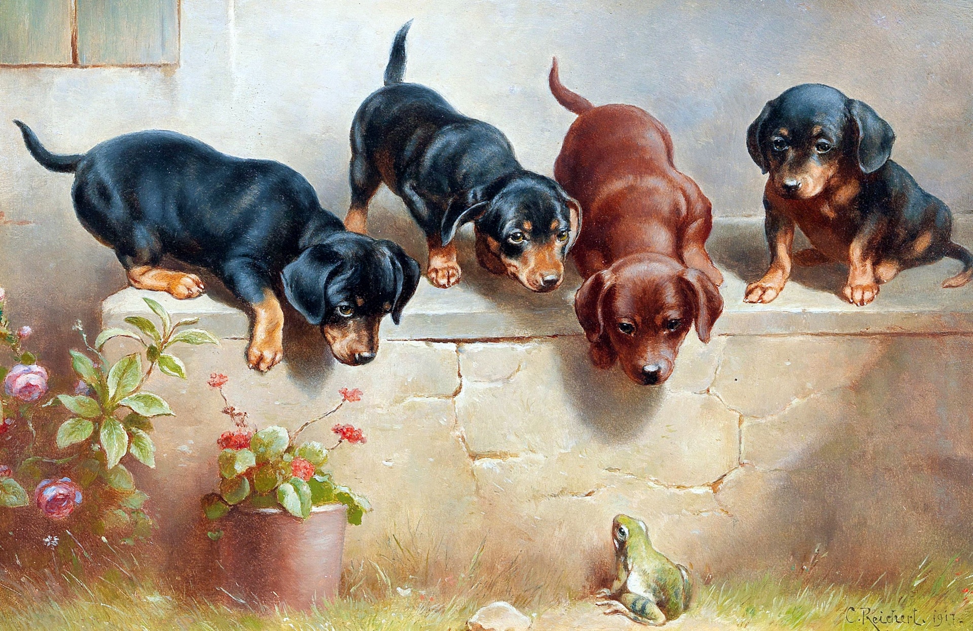Dogs puppies dachshund vintage illustration old antique painting painting by Reichert from 1889