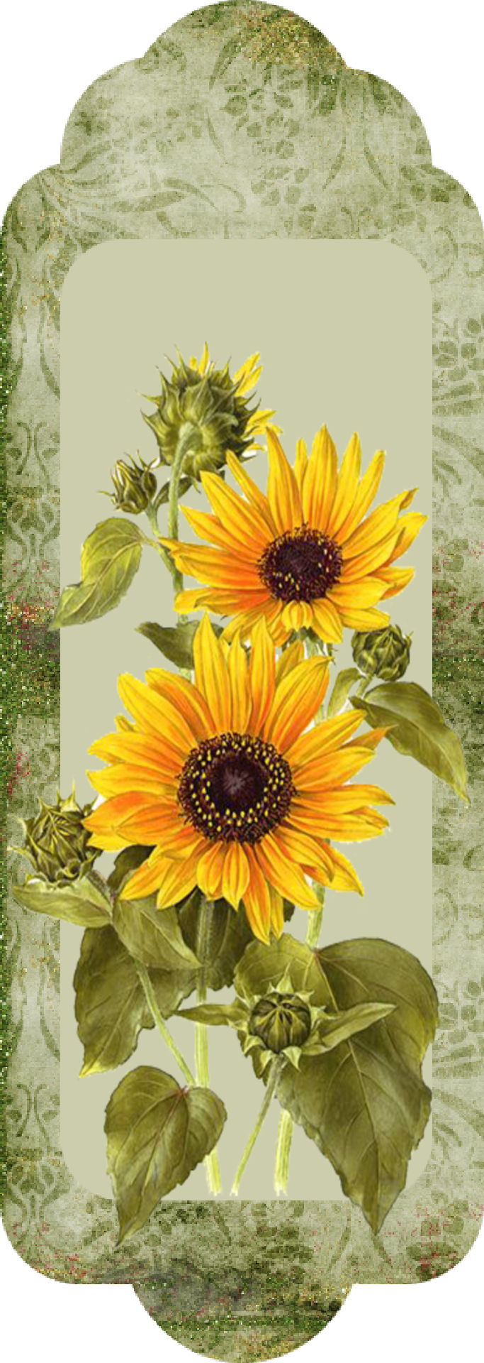 Sunflower Illustration PNG