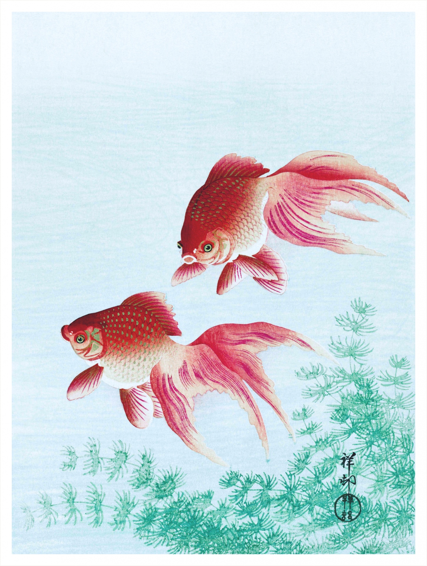 Japan koi carp vintage art old antique illustration painting poster placard