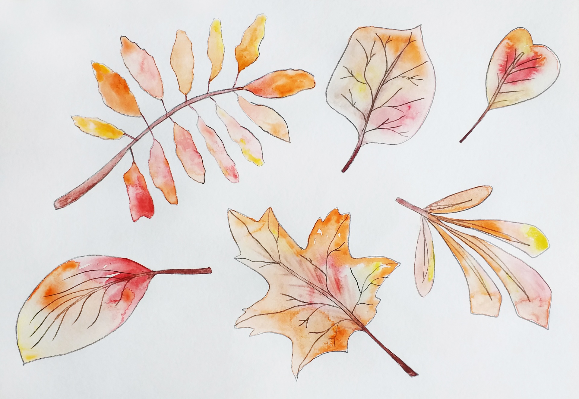 leaves, autumn, watercolor, drawing, orange, season, season, fallen leaves