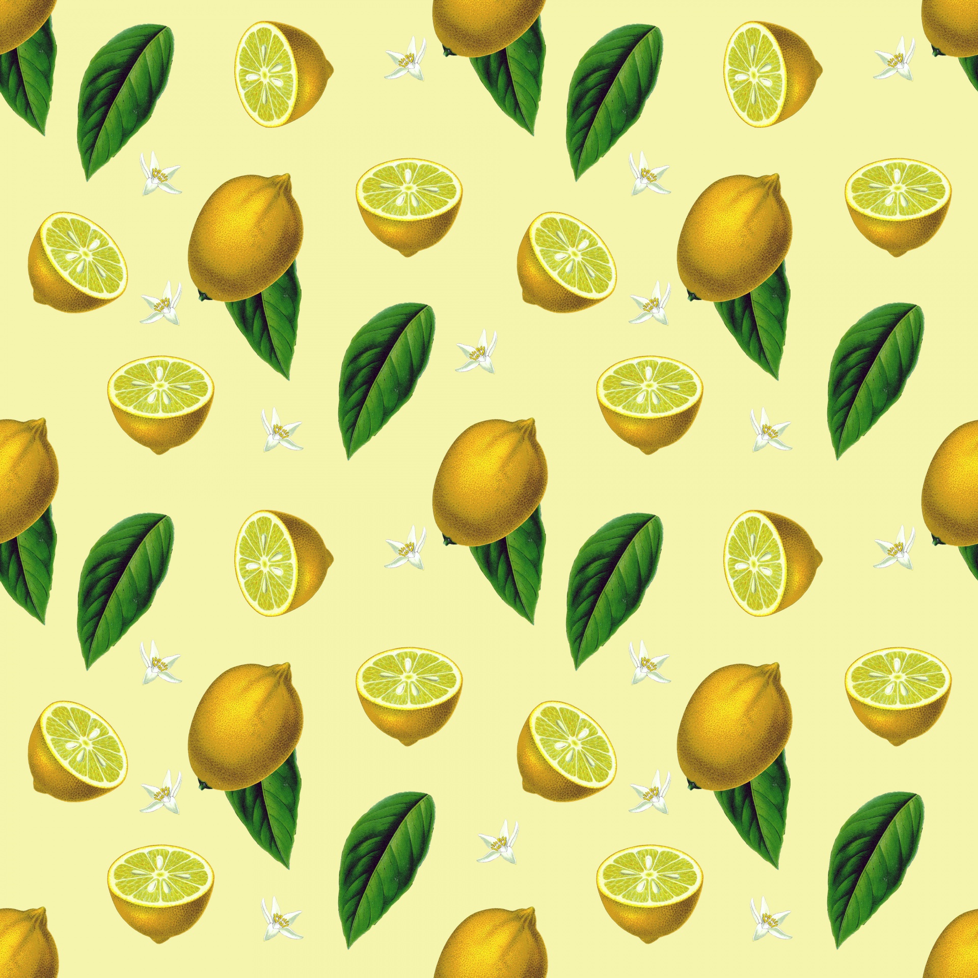 Lemon Fruit Vintage Background