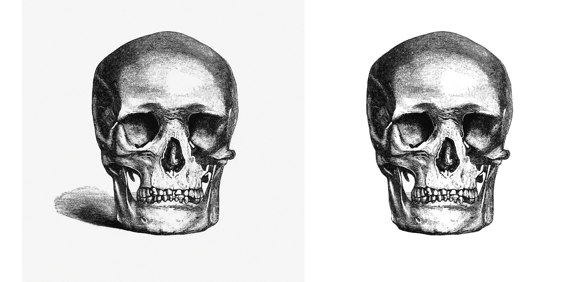 Skull Skull Halloween Clipart
