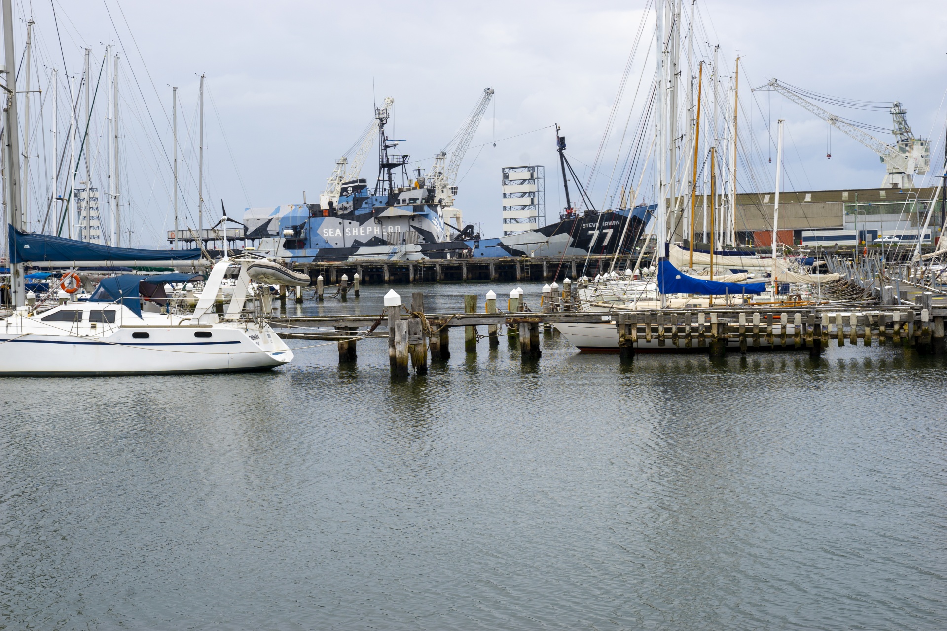Sea Shepherd In Dock