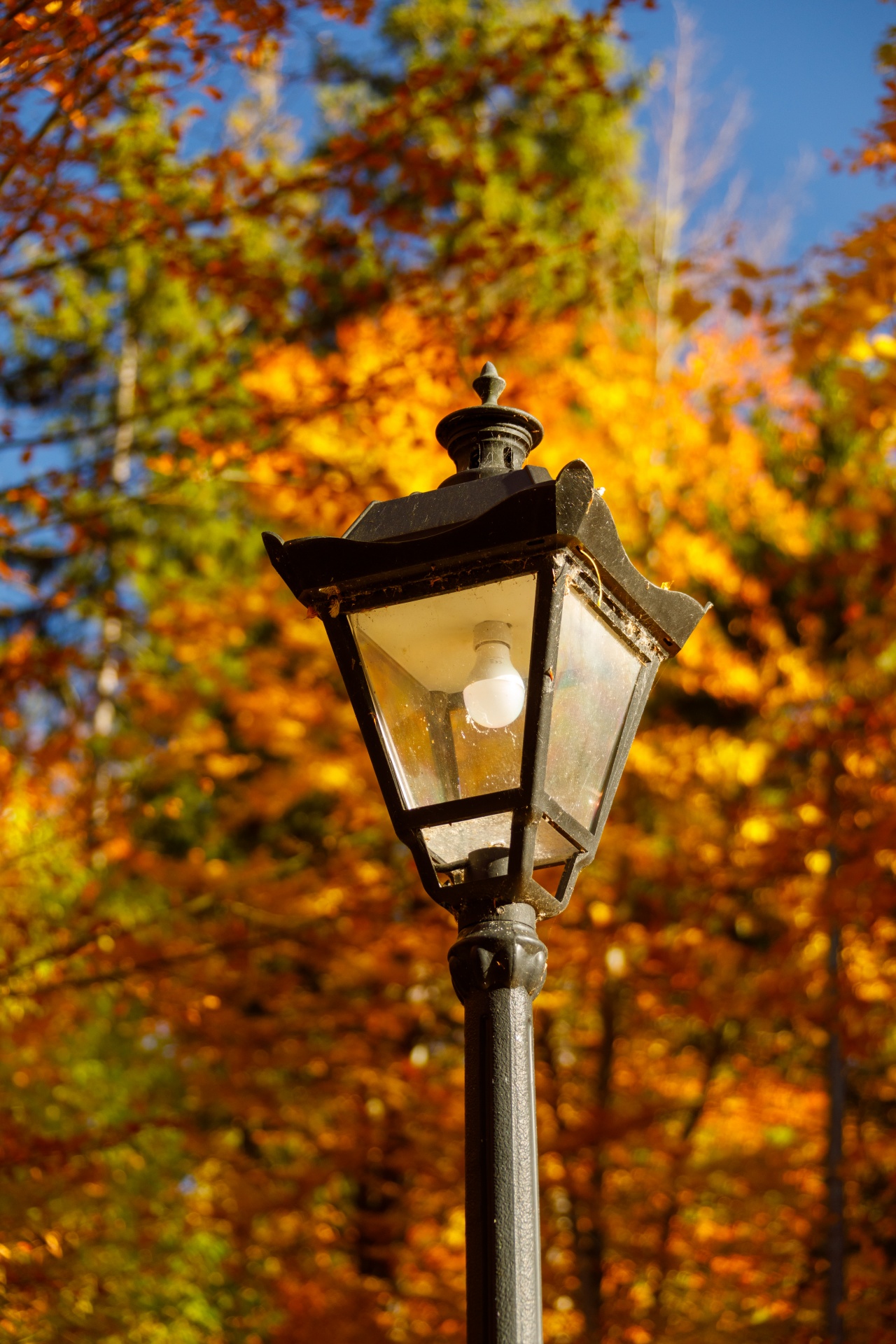 Street Lamp In Autumn