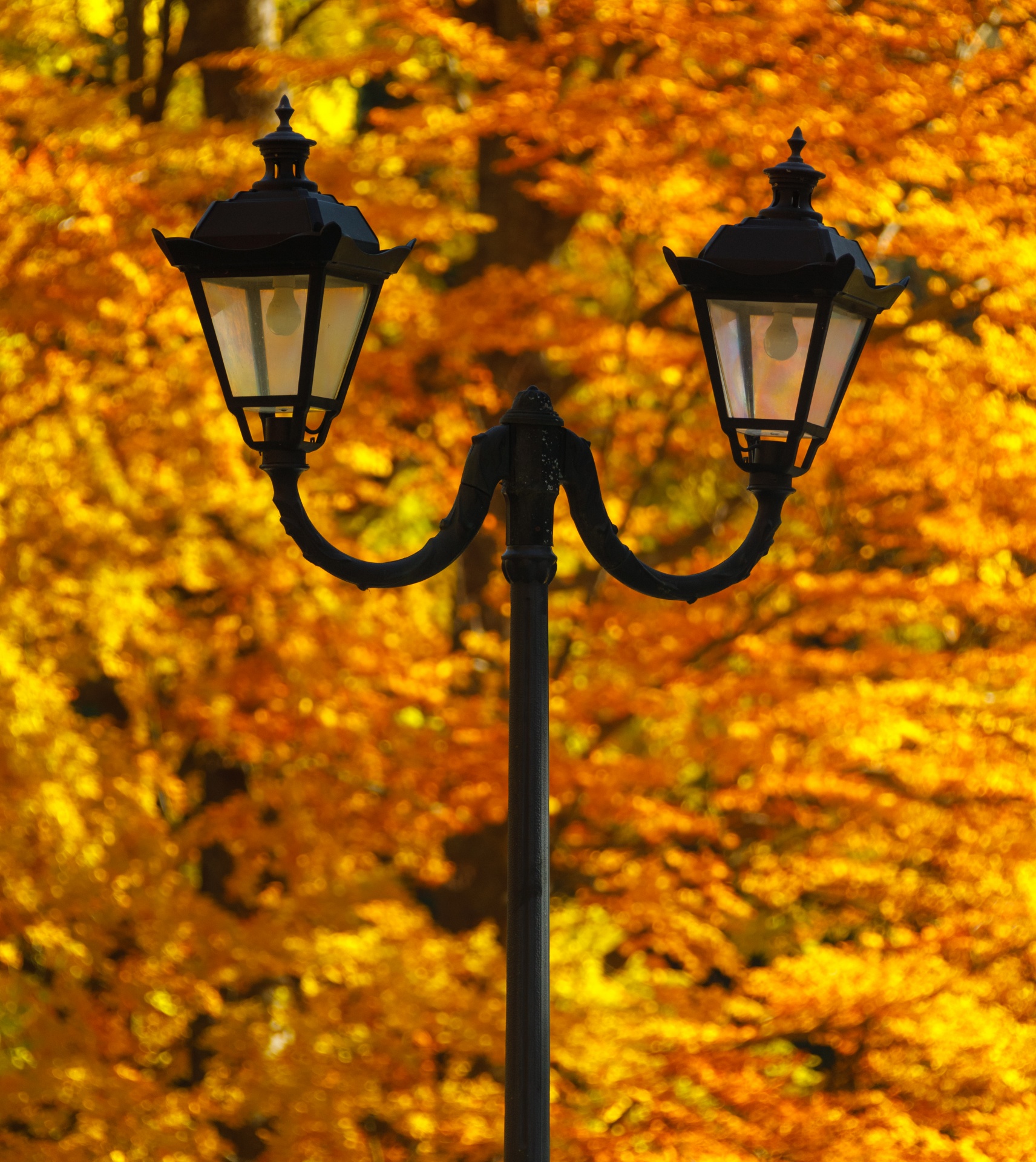 Street Lamp In Autumn Free Stock Photo - Public Domain Pictures