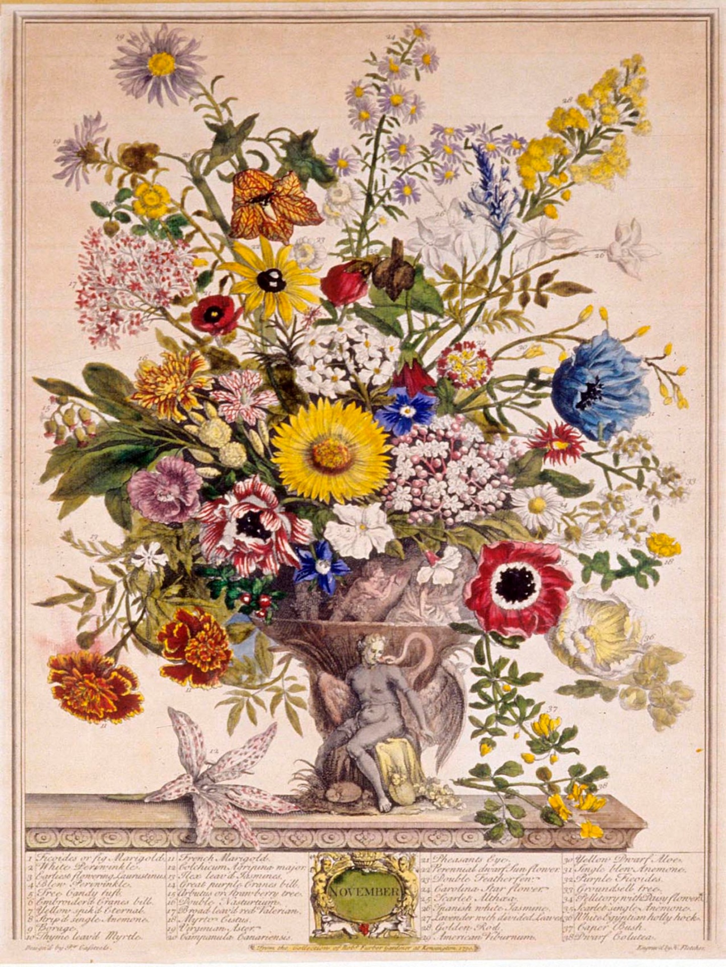 Vintage Flowers Illustration Art