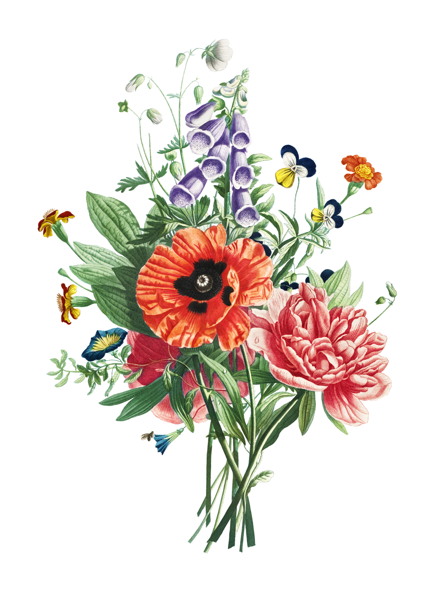 Vintage Floral Art Clipart