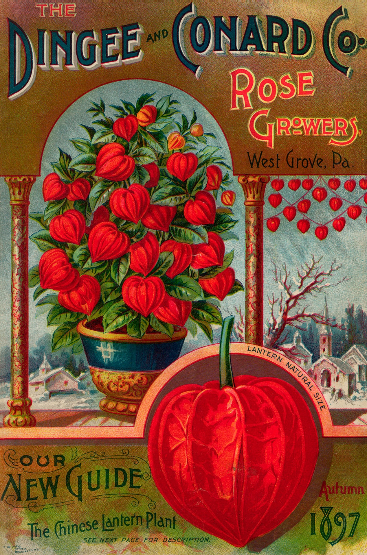 Vintage Advertising Flower Seeds