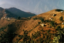 Ascent To Langtang