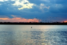 Birds Flying At Sunset