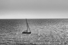 Black And White Sailboat Seascape