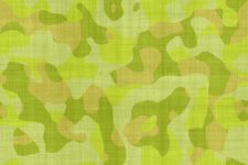 Camouflage Pattern Factory Texture