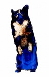 Dog Watercolor Art Object