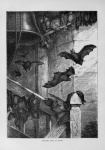 Bats Vintage Art Old