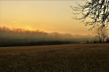 Fog In Field At Sunrise