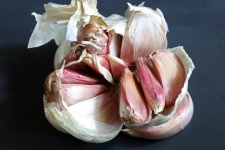 Garlic Bulb Broken Open