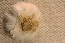 Garlic On A Textured Cloth