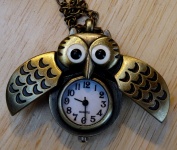 Gents Owl Pocket Watch