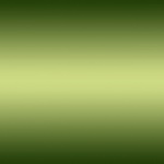 Gradient Metallic Background Green