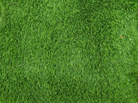 Green Astro-turf Background Texture