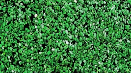 Green Small Stones Background