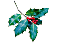 Holly Christmas Decorations