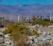 Desert Wind Turbine