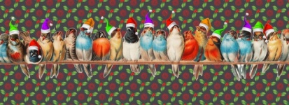 Vintage Christmas Birds