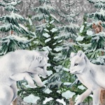 White Wolves Winter