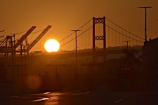 Cranes And Bridge At Sunset