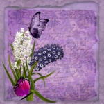 Vintage Butterfly And