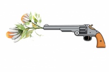 Gun Shooting Flowers