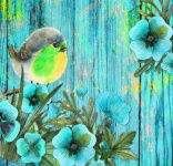 Robin Bird Floral Watercolor