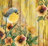 Robin Bird Floral Watercolor