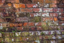 Mossy Grungy Bricks