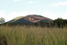Long Wild Grass With A Hill Beyond