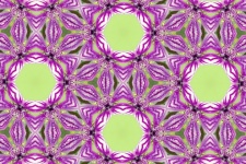 Mandala Background Pattern Colors