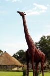 Metal Sculpture Of Giraffe In Park