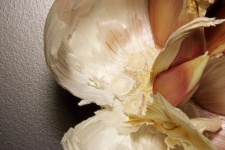 Open Garlic Bulb With Papery Skin