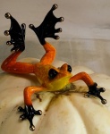 Ornamental Frog